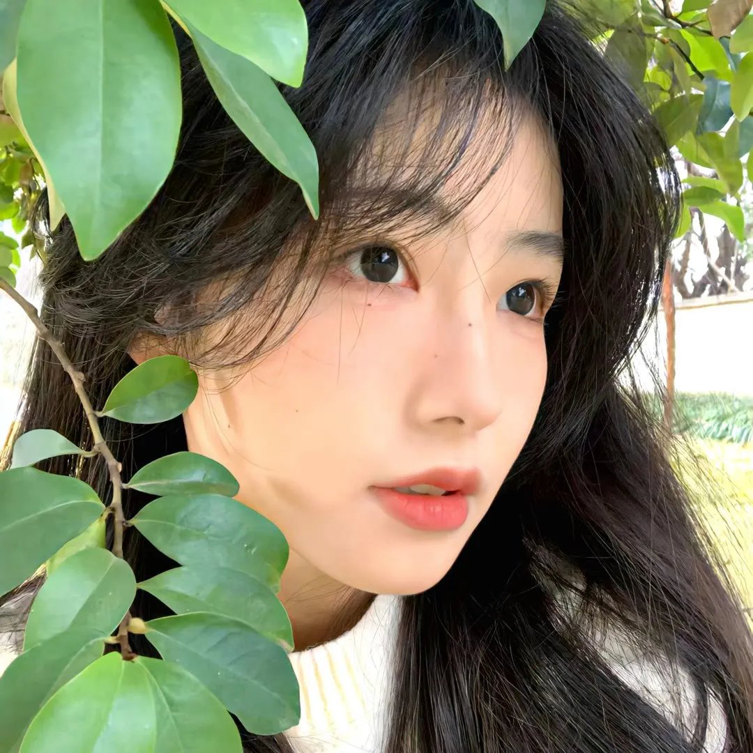 弗罗拉与松鼠侠