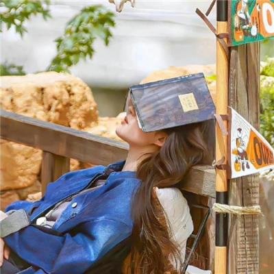 宝石宠物电影 甜品舞公主
